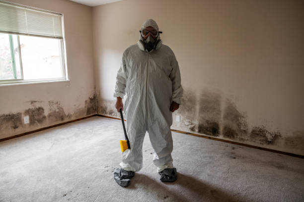 Best Mold Removal for HVAC Installations  in Sandy Oaks, TX